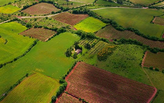 一亩地是几米x几米